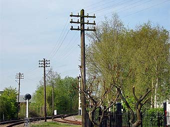 Telegraph Poles